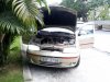 IMG_20180513_100808_resize.jpg